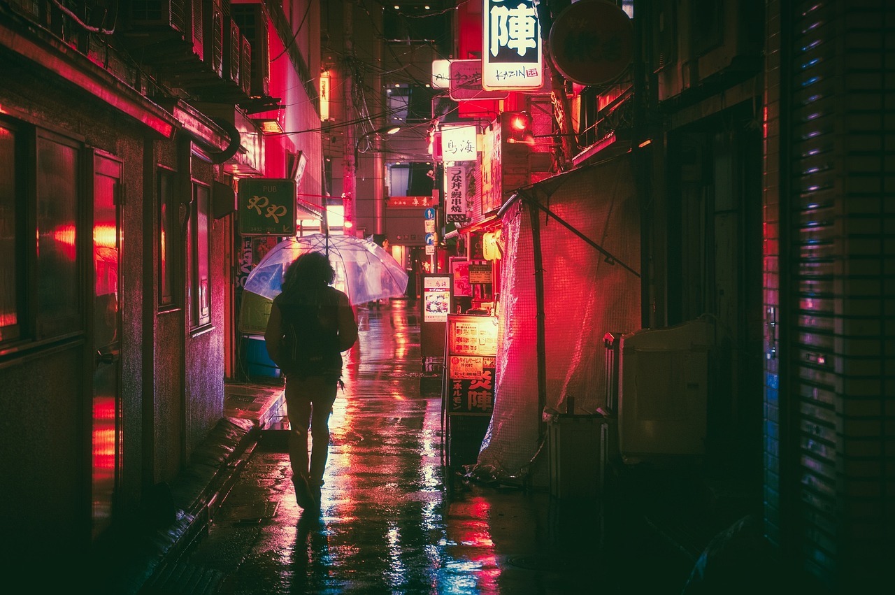 japan, osaka, night, asia, landmark, travel, japanese, architecture, city, building, tourist, outdoor, street food, street markets, nature, neon, glow, advertising, urban, man, guy, people, traveller, adventure, rain, umbrella